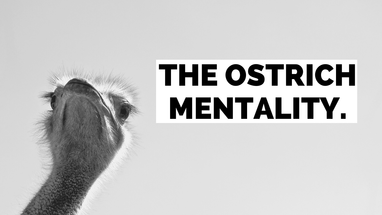 bbp-tv-The ostrich mentality
